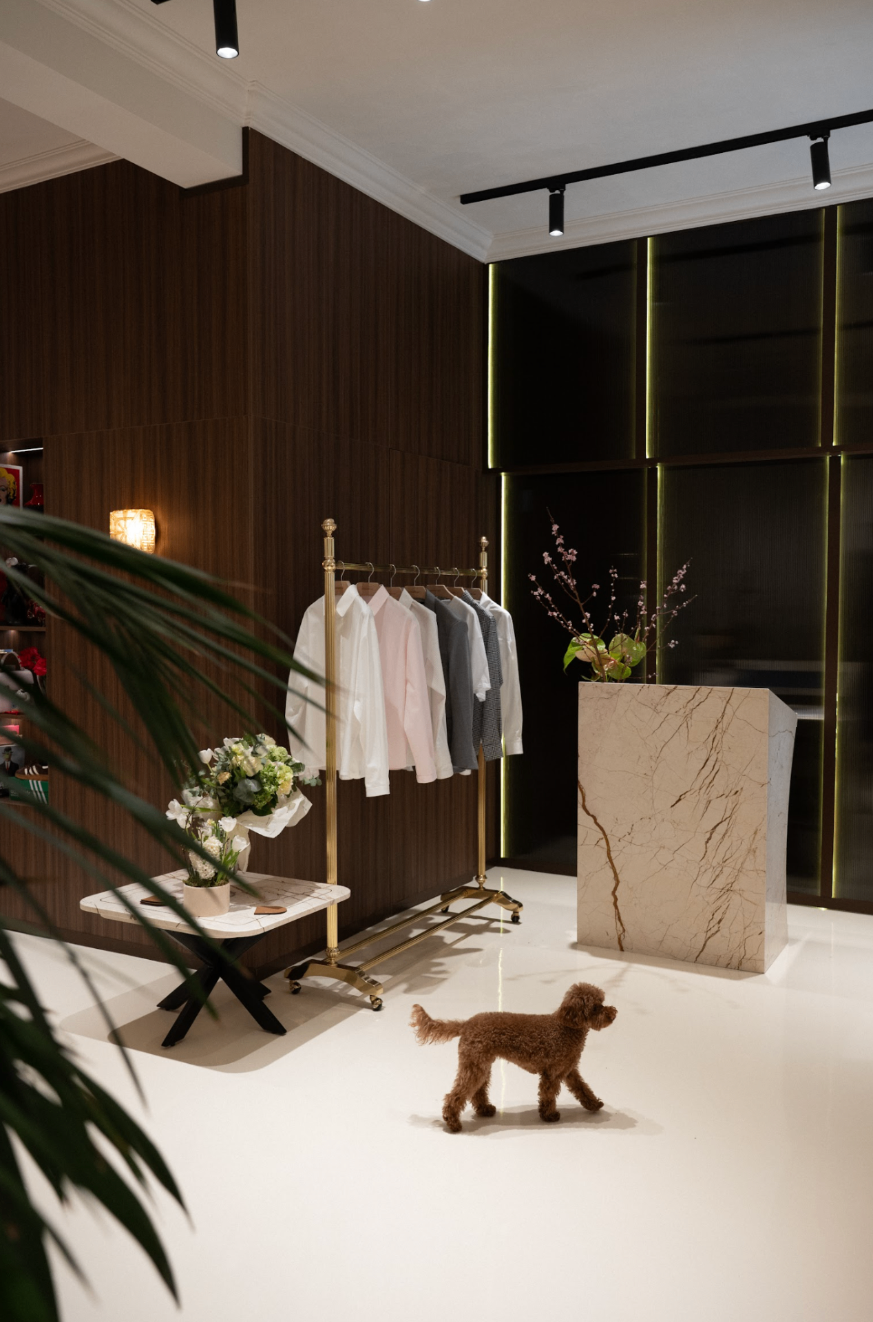 Showroom interior